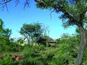 Abloom Bush Lodge & Spa Retreat Cullinan Exterior photo